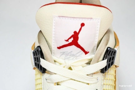 Hyperoad Balvin 4 x Air Jordan Retro 1019